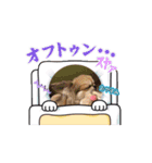 スリーシスターーーーーズ（個別スタンプ：10）