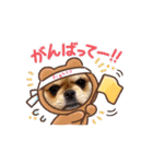 スリーシスターーーーーズ（個別スタンプ：11）