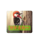 動く！鳥さんたちの stamp（個別スタンプ：10）