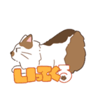 むすっとねこ（個別スタンプ：4）