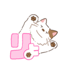 むすっとねこ（個別スタンプ：6）