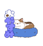むすっとねこ（個別スタンプ：10）