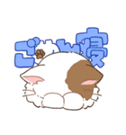 むすっとねこ（個別スタンプ：11）