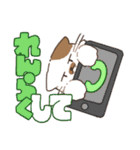 むすっとねこ（個別スタンプ：14）