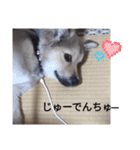 日常で使える！！【ちゃむスタンプ】（個別スタンプ：7）