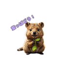 愛らしいクオッカ（個別スタンプ：6）