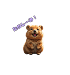 愛らしいクオッカ（個別スタンプ：7）