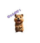 愛らしいクオッカ（個別スタンプ：8）