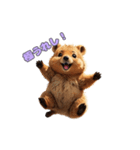 愛らしいクオッカ（個別スタンプ：23）