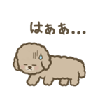 トイプーBOY（個別スタンプ：2）