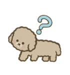 トイプーBOY（個別スタンプ：5）