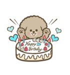 トイプーBOY（個別スタンプ：8）