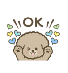 トイプーBOY（個別スタンプ：9）