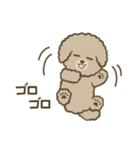 トイプーBOY（個別スタンプ：22）