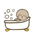 トイプーBOY（個別スタンプ：23）