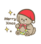 トイプーBOY（個別スタンプ：24）