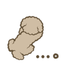 トイプーBOY（個別スタンプ：25）