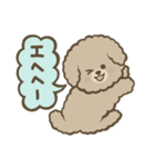トイプーBOY（個別スタンプ：28）