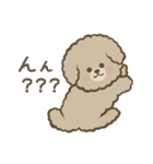 トイプーBOY（個別スタンプ：31）