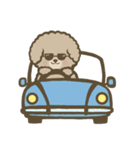 トイプーBOY（個別スタンプ：32）