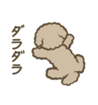 トイプーBOY（個別スタンプ：33）