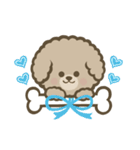 トイプーBOY（個別スタンプ：36）
