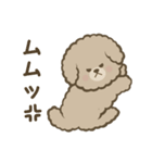 トイプーBOY（個別スタンプ：37）