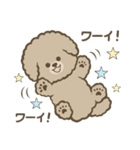 トイプーBOY（個別スタンプ：39）