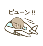 トイプーBOY（個別スタンプ：40）