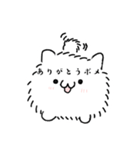 可愛いポメのスタンプ（個別スタンプ：2）