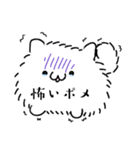 可愛いポメのスタンプ（個別スタンプ：14）