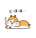 毎日使えるかわいいハムちゃんスタンプ（個別スタンプ：11）