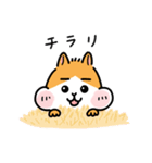 毎日使えるかわいいハムちゃんスタンプ（個別スタンプ：14）