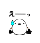 もちかわシマエナガ（個別スタンプ：12）