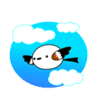 もちかわシマエナガ（個別スタンプ：29）