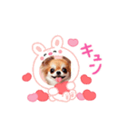 Cuteness Overload8（個別スタンプ：4）