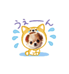 Cuteness Overload8（個別スタンプ：6）