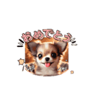 Cuteness Overload8（個別スタンプ：7）