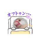 鳥シリーズ1（個別スタンプ：2）