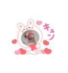 鳥シリーズ1（個別スタンプ：3）