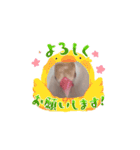 鳥シリーズ1（個別スタンプ：9）