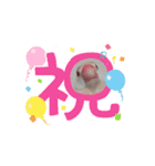 鳥シリーズ1（個別スタンプ：13）