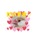 鳥シリーズ1（個別スタンプ：14）
