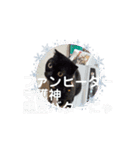 うちのうごく猫ちゃんスタンプ（個別スタンプ：7）