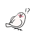テキトーな鳥さん（個別スタンプ：20）