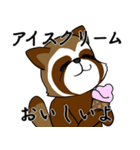 タヌキの読書家（個別スタンプ：13）
