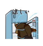 タヌキの読書家（個別スタンプ：20）