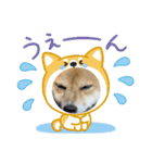 福ちゃんだね♡春だね編（個別スタンプ：3）
