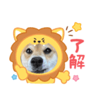 福ちゃんだね♡春だね編（個別スタンプ：4）