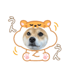 福ちゃんだね♡春だね編（個別スタンプ：6）